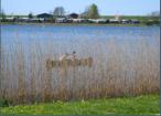 Kanufahren in den Ferien in Otterndorf